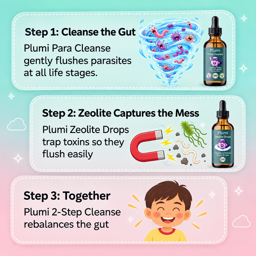 Plumi routine overview graphic