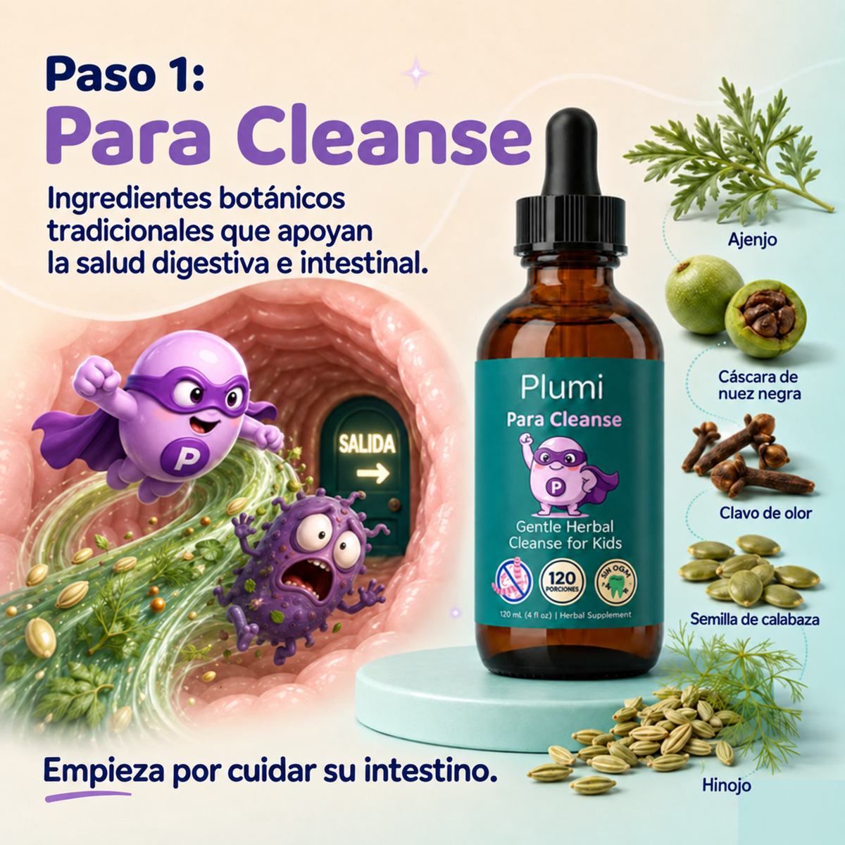 Plumi: información en español
